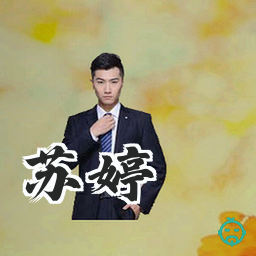 苏婷